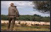 _IGP3788kopie_Hilversumse_heide_www-reginus-nl.jpg