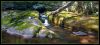 sep_05_Rose_river_falls_Shenandoah_NP___(7)_kopie.jpg