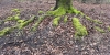 vingerindepap_IMG_6180r.jpg