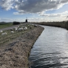 4gang7huizen_IMG_3362r2.jpg