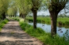 Broekwetering_Alblasserwaard_0028_R.jpg
