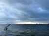 surfplas_Reeuwijk_3162.jpg