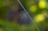 A1_libelle_DSC04958_bewerkt-1.jpg