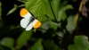 IMG_0223.jpeg