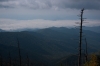 0504_clingmans_dome_RDB0165.jpg