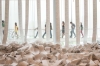 07_art_institue_chicago_modern_RDB6050a.jpg