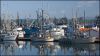 08havennewport_RDB0948.jpg