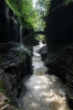 10_Finger_Lakes_0122_watkins_glen.jpg