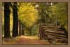 20091025_LageVuursche_0014.jpg