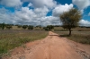 Alentejo__RDB0002_bewerkt-1.jpg