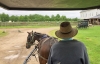 Amish_IMG_2777_horse_and_carriage.jpg