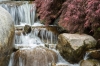 C_Grand_Rapids_Frederik_Meijer_Gardens__286429.jpg