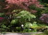 Clingendael_0027.jpg