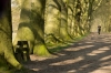Graveland_004.jpg