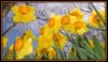 IMGP1175_www_Reginus_nl.jpg