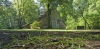 Los_Hoes_Buurserzand_0070.jpg
