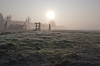 Ochtendmist_0048_kopie.JPG