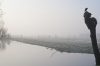 Ochtendmist_0092_kopie.JPG