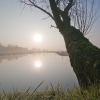 Ochtendmist_0102_kopie.JPG