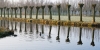 Ochtendmist_0204_kopie.JPG