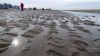 Scheveningen_0056.jpg