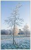 Winter2007_0035kopie.jpg