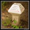 www_reginus_nl_IGP3509_ANWB_eerste_paddestoel.jpg